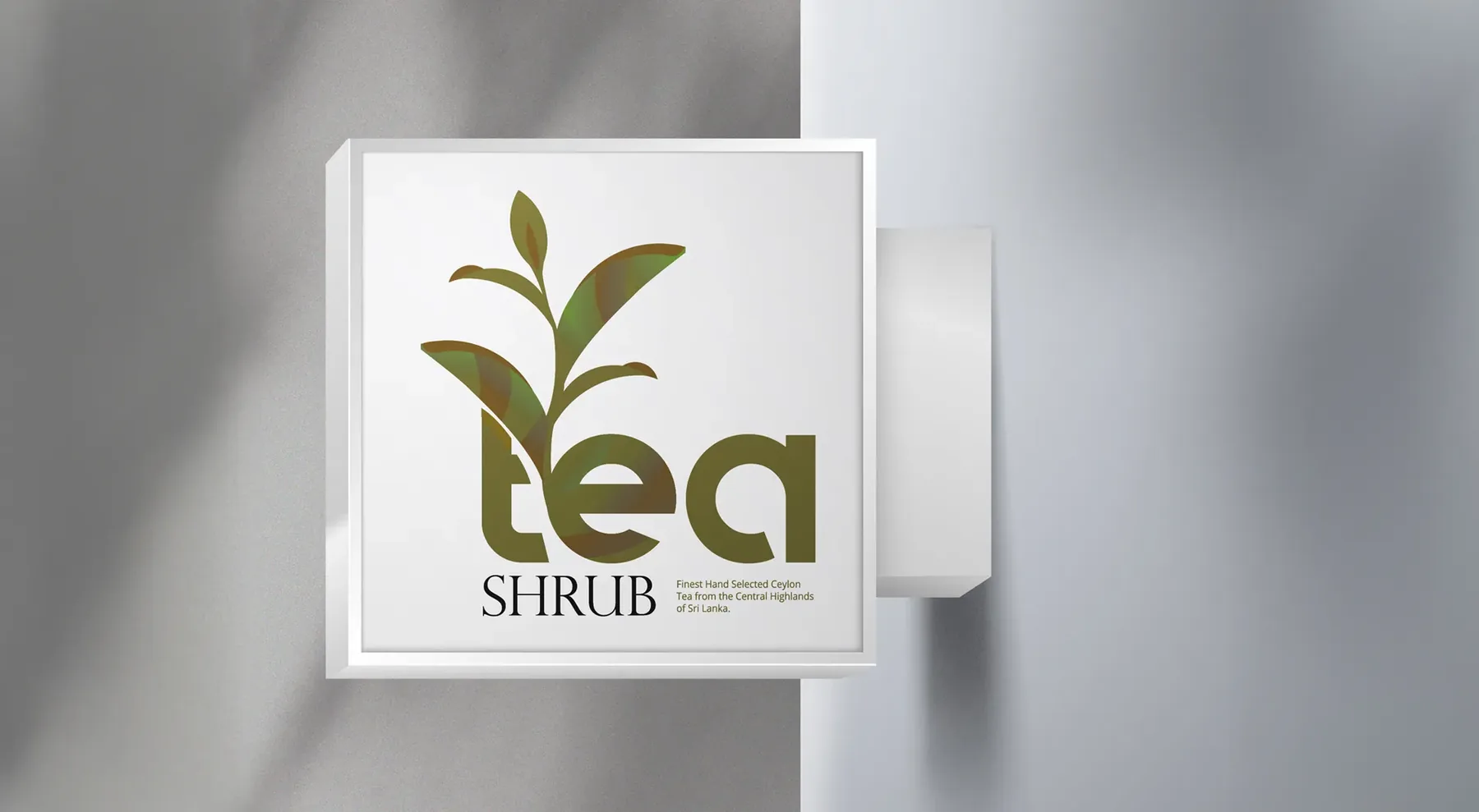 Tea Shrub, fonts and colours, view 3