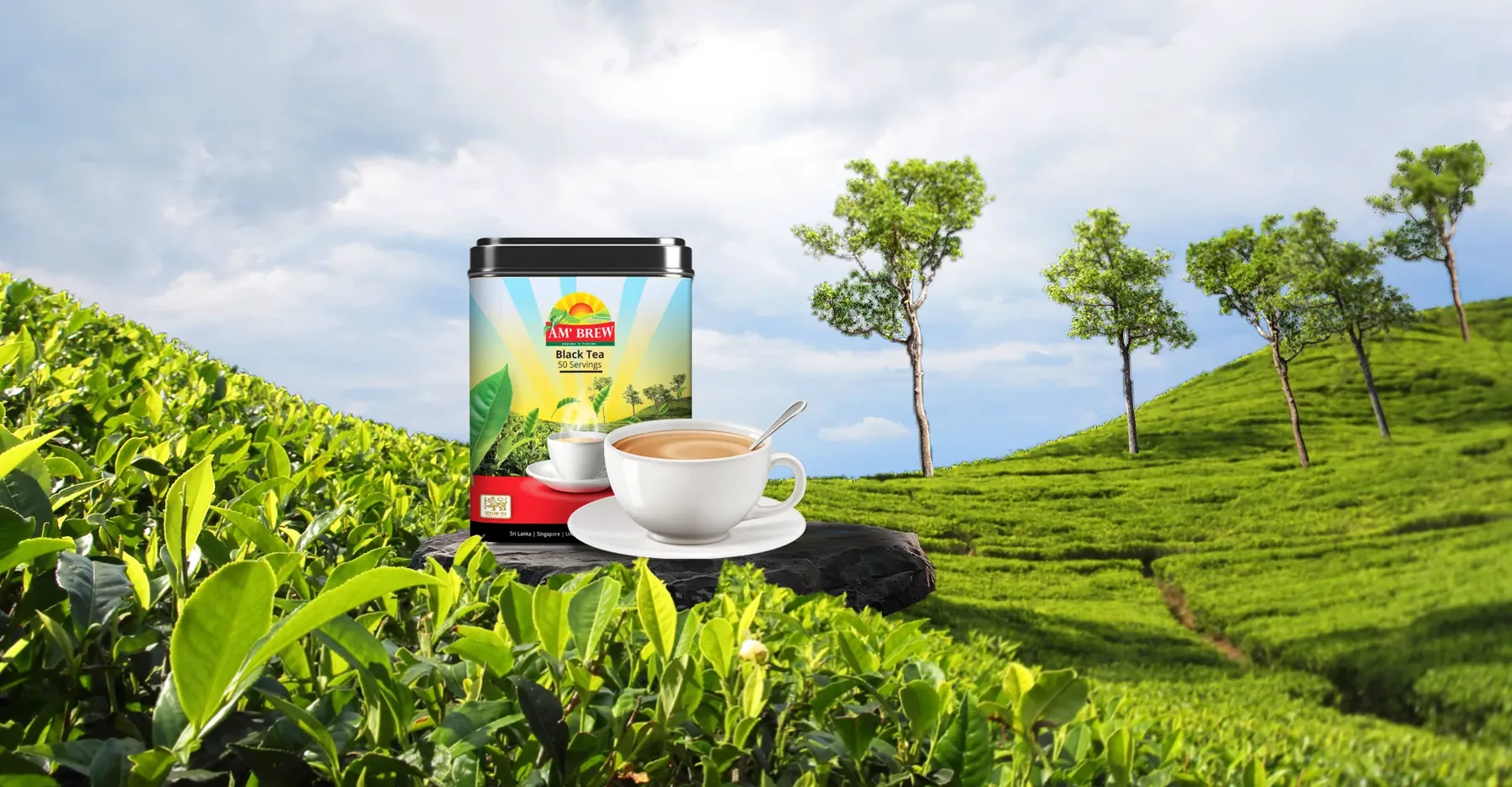 AM'Brew, packaging design, view 2