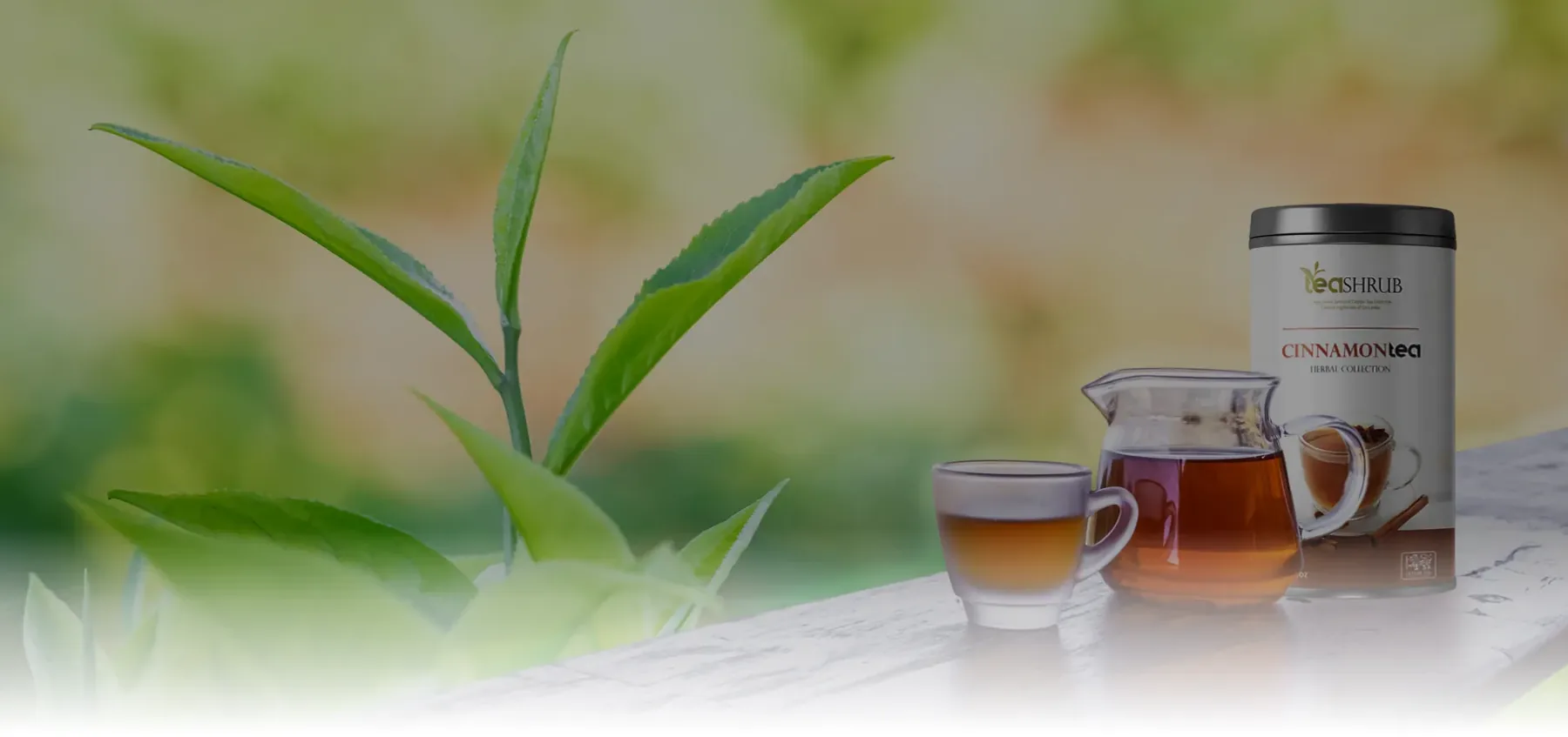 Tea Shrub: logo, branding, packaging and web development by WeLoveIt Studio