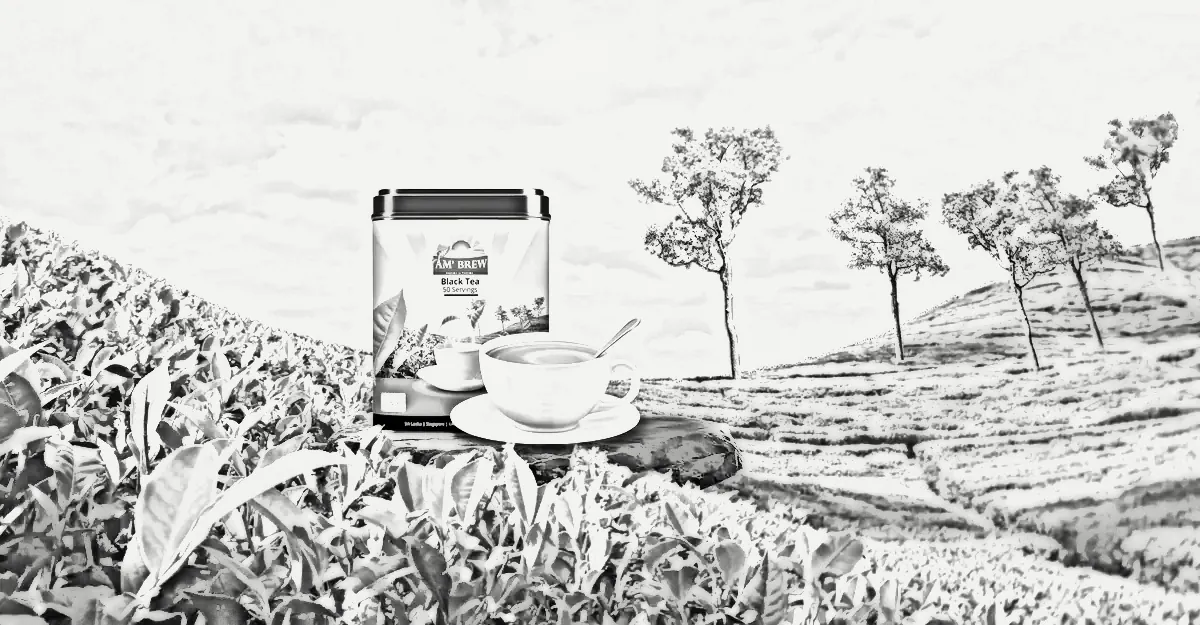 AM'Brew, drawn in pencil