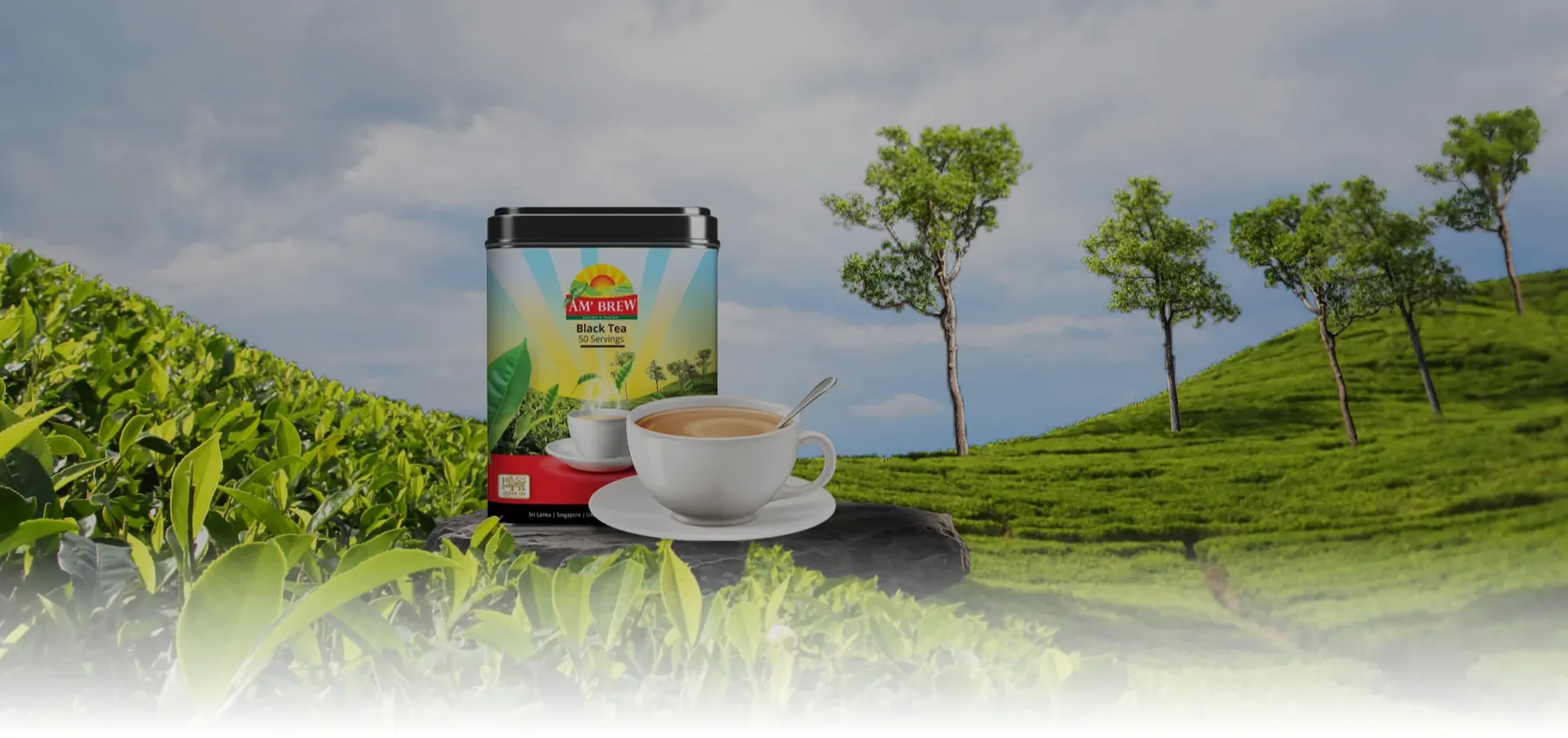 AM'Brew: logo and packaging design by WeLoveIt Studio