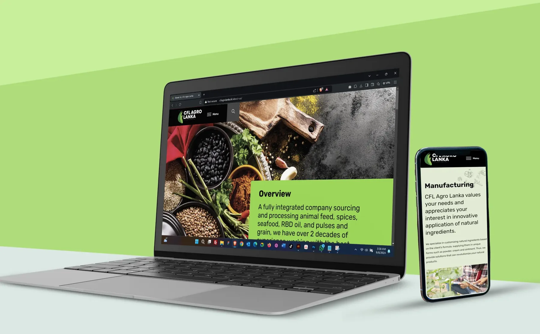 CFL Agro Lanka, the website design, view 1