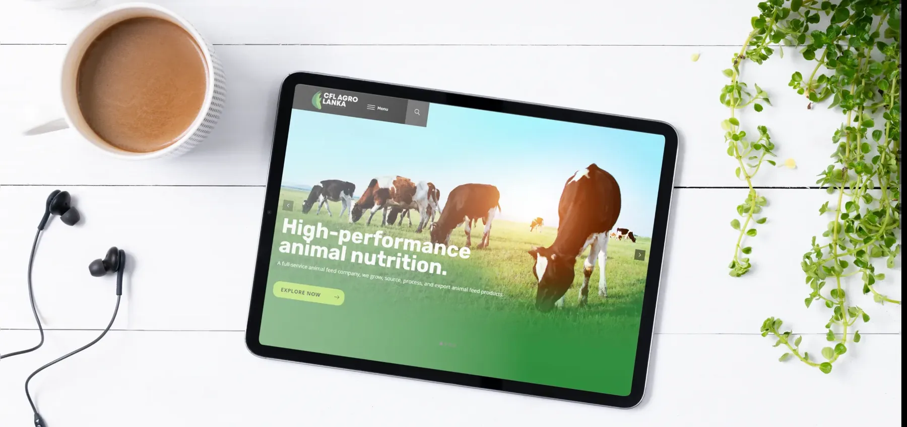 CFL Agro Lanka, the website design, view 2